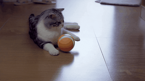Smart Cat Ball Toys